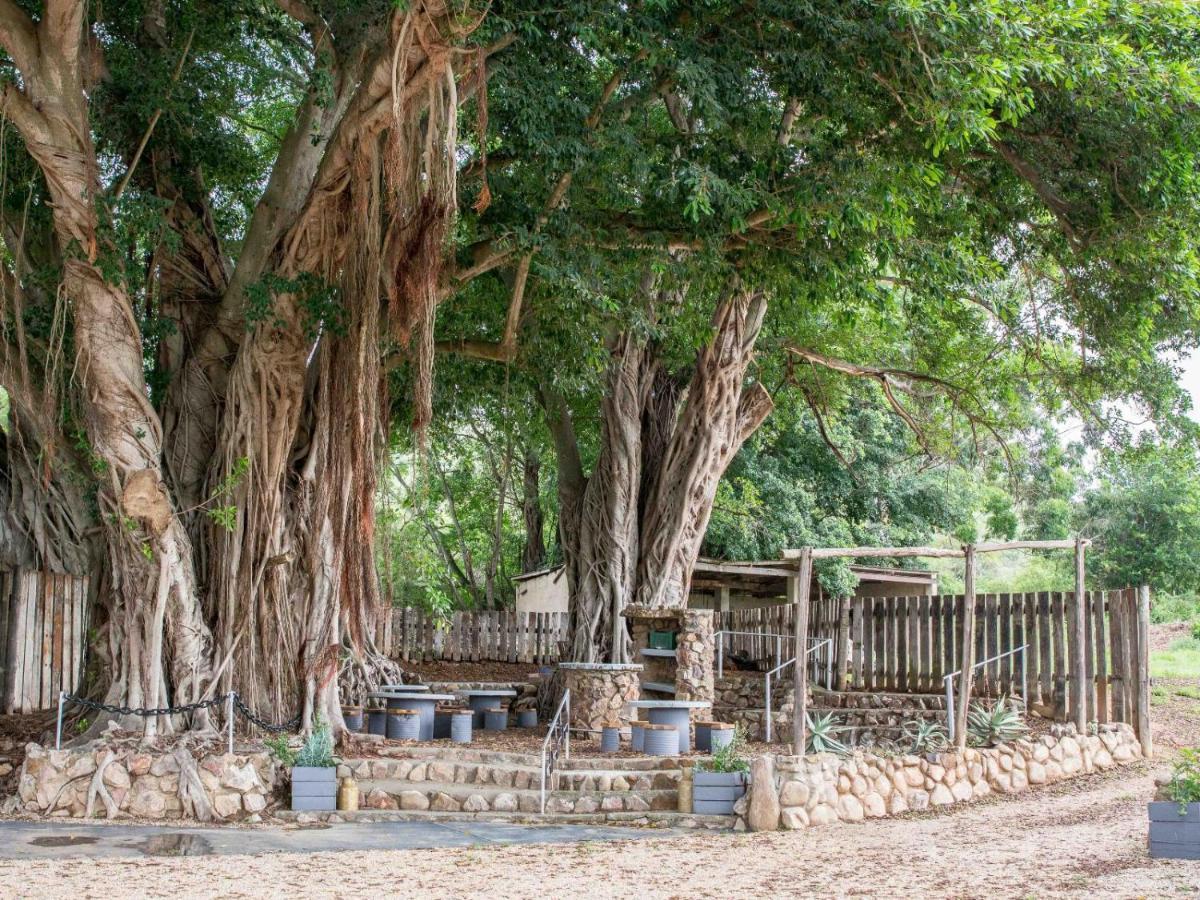 Chicane Bed And Breakfast Sunland Ngoại thất bức ảnh